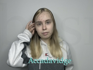 Accadavidge