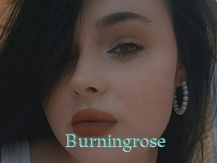 Burningrose