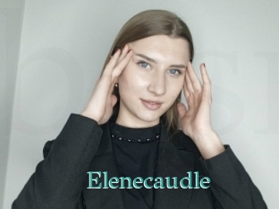 Elenecaudle