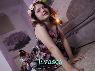 Evasea