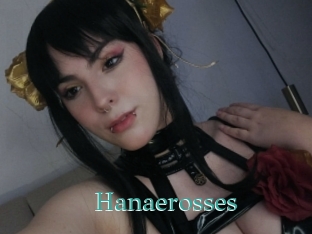 Hanaerosses