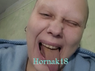 Hornak18