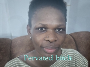 Pervated_bitch