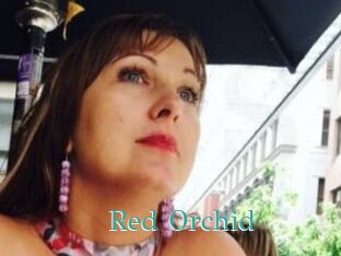 Red_Orchid