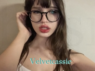 Velvetcassie