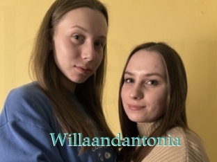 Willaandantonia